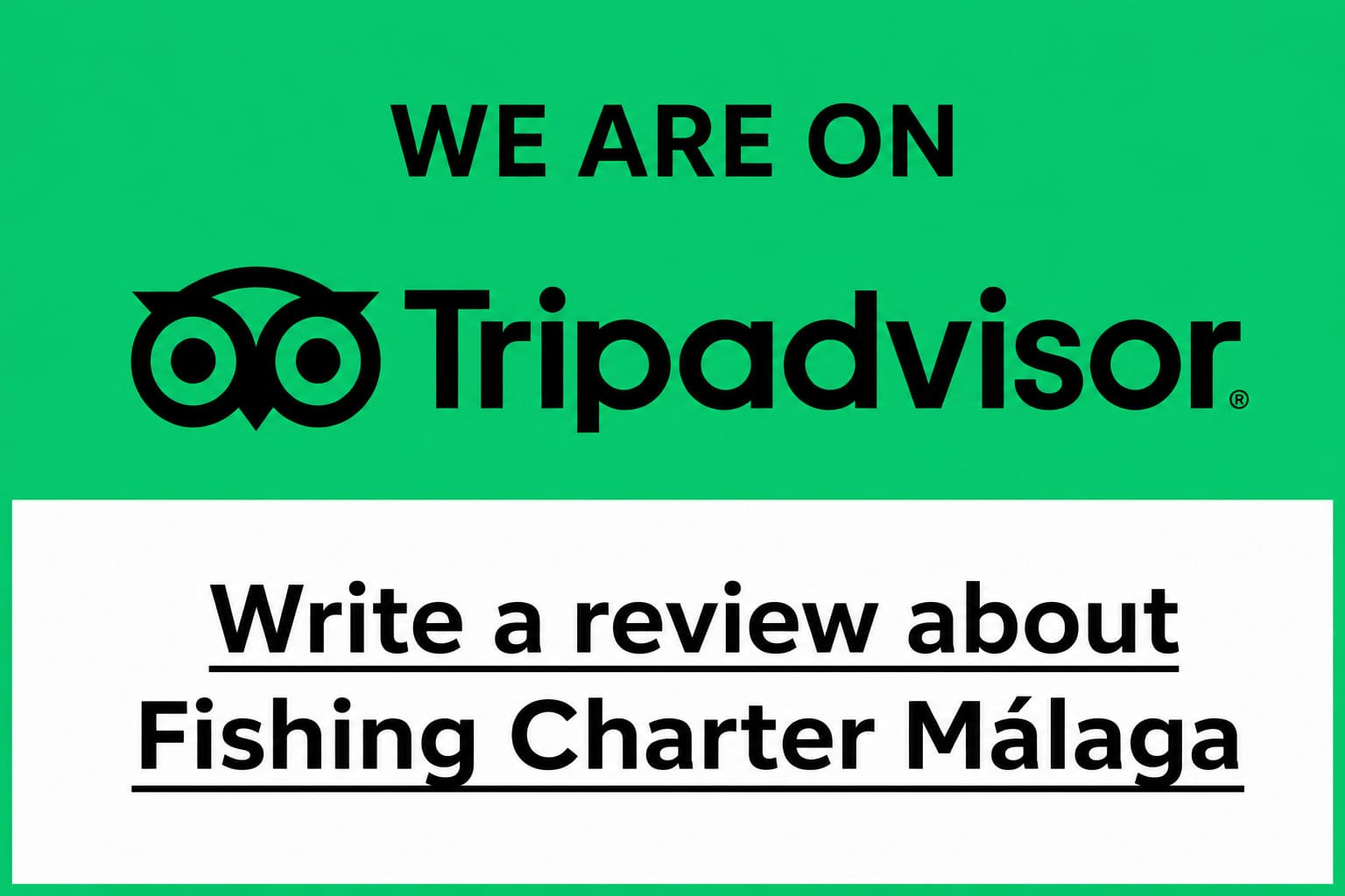 Tripadvisor Fishing Charter Málaga